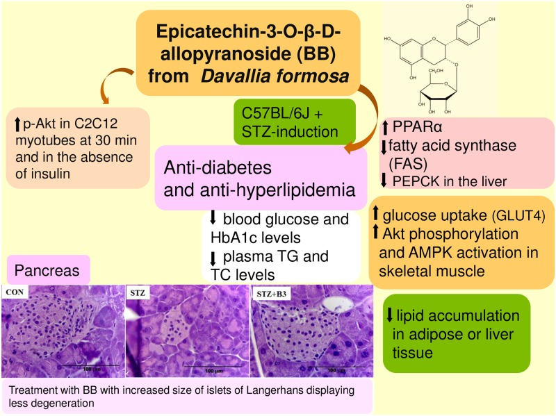 Fig 8