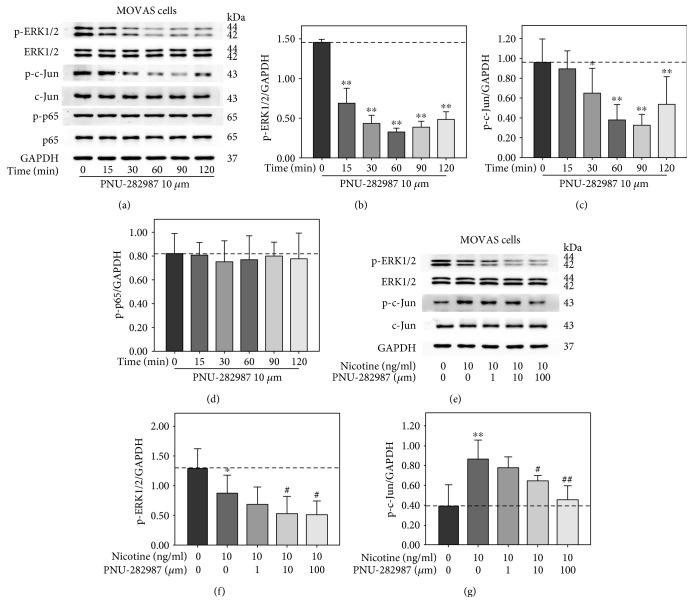 Stimulation of Alpha7 Nicotinic Acetylcholine Receptor Attenuates ...