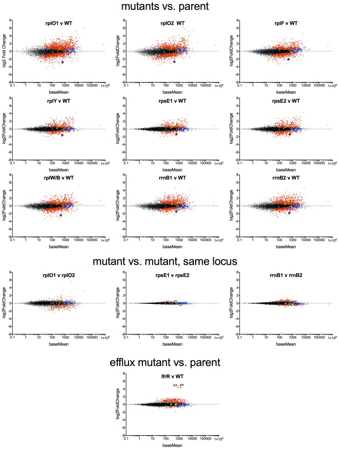 Figure 4—figure supplement 1.