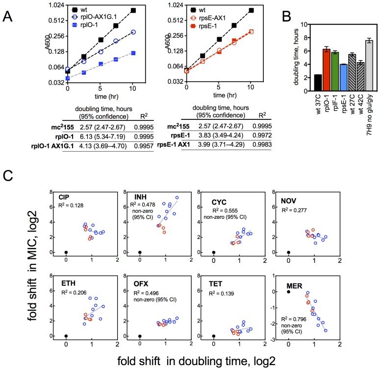 Figure 3—figure supplement 1.