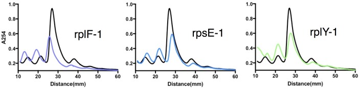 Figure 4—figure supplement 3.