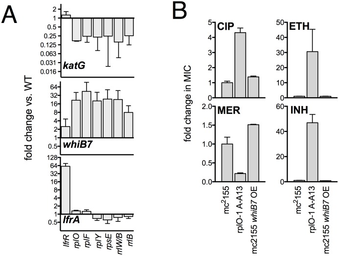 Figure 4—figure supplement 2.