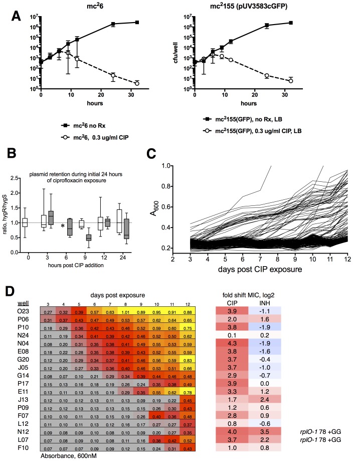 Figure 1—figure supplement 2.