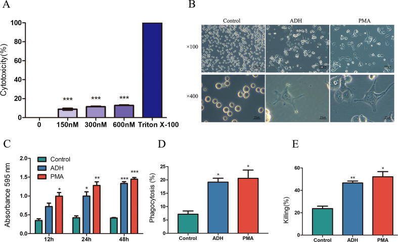 Fig. 2