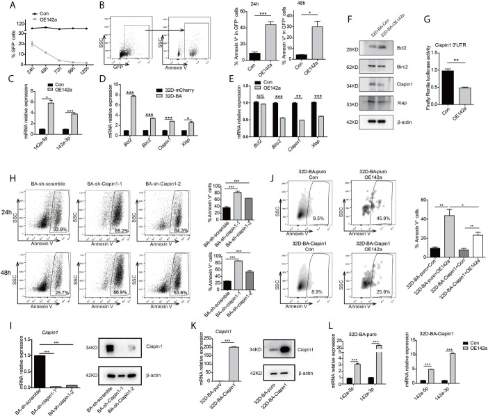 Figure 5