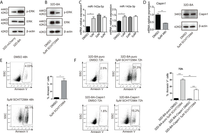 Figure 6