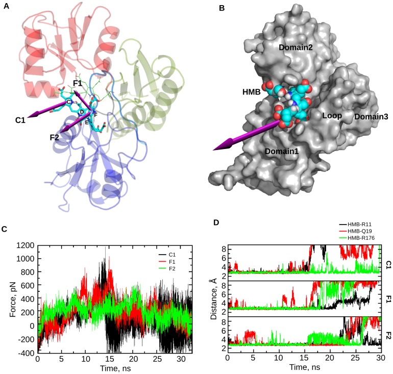 Figure 11