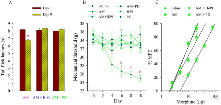 Figure 7