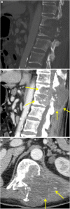Fig. 8