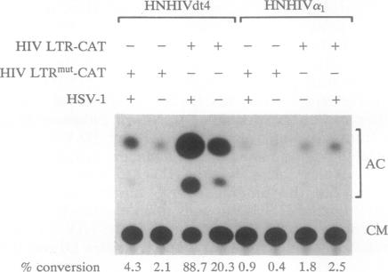 graphic file with name pnas01071-0210-c.jpg