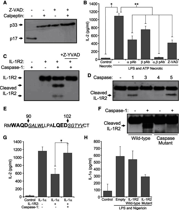 Figure 6