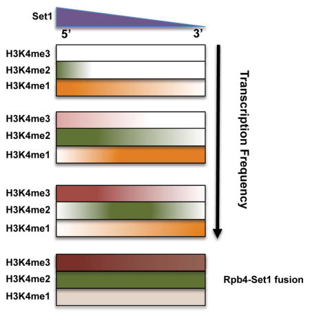 graphic file with name nihms919668u1.jpg