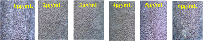 Figure 13