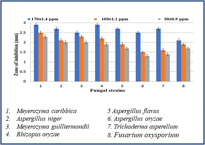 Figure 11