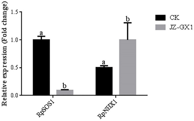 Figure 5