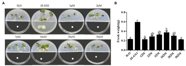 Figure 11