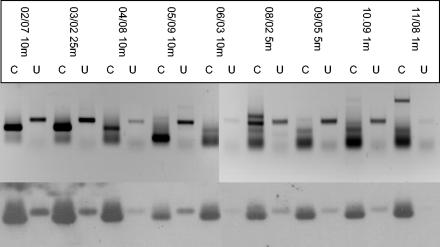 FIG. 6.