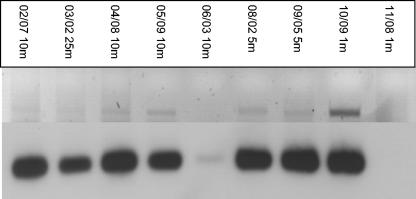 FIG. 7.