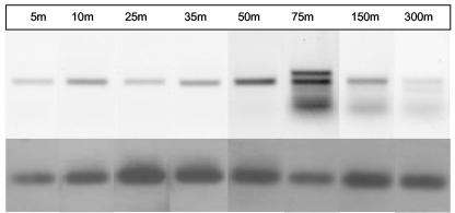 FIG. 5.