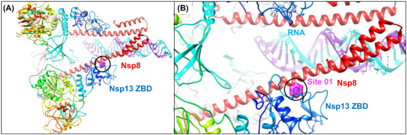 Fig 13