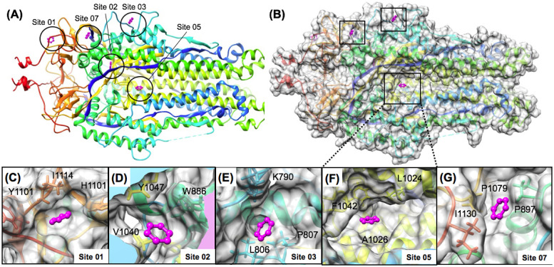 Fig 16