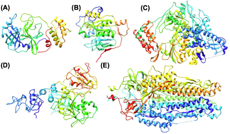 Fig 1