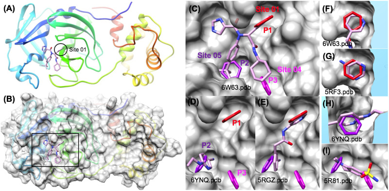 Fig 6