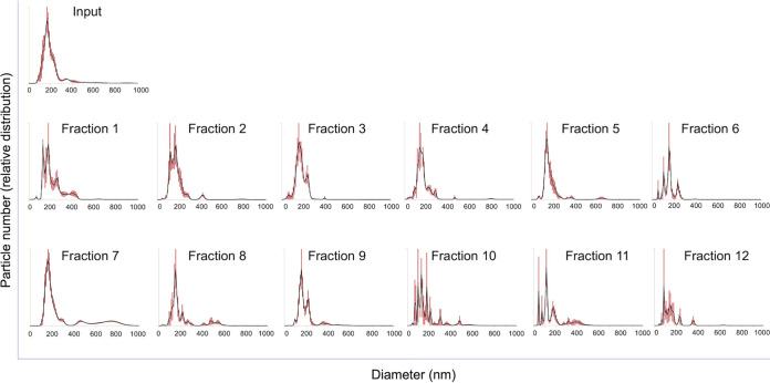 FIG 2