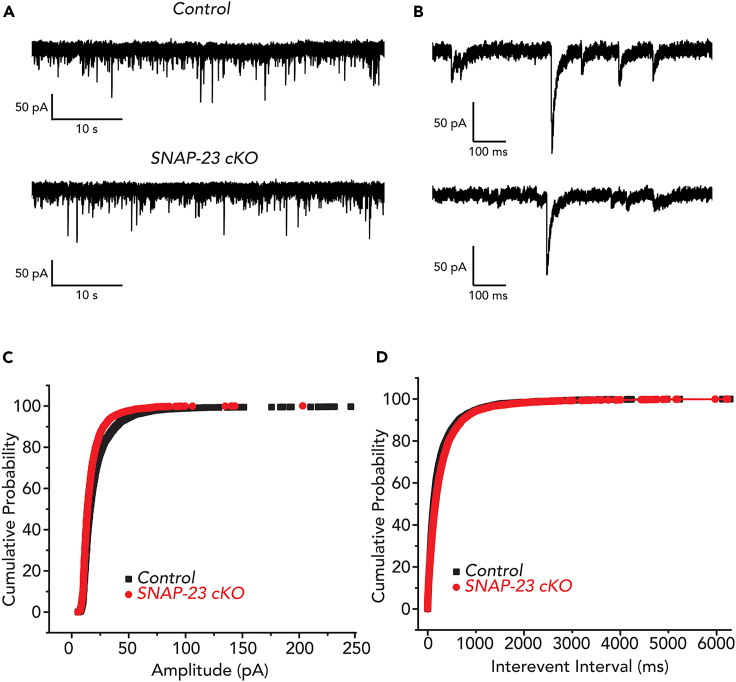 Figure 5