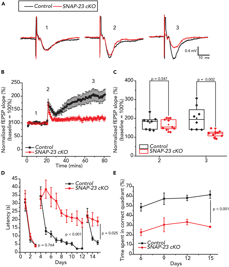 Figure 6