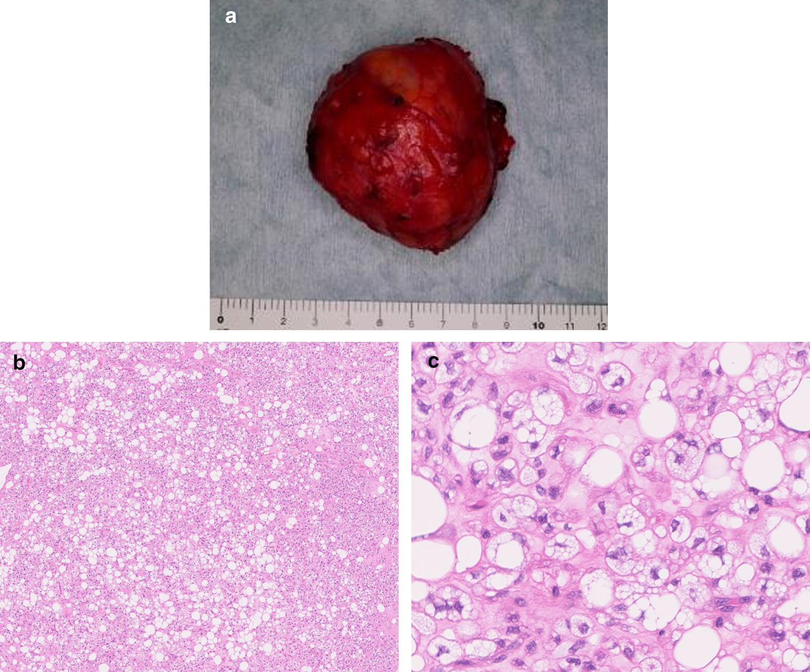 Fig. 4