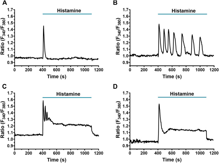 FIGURE 1