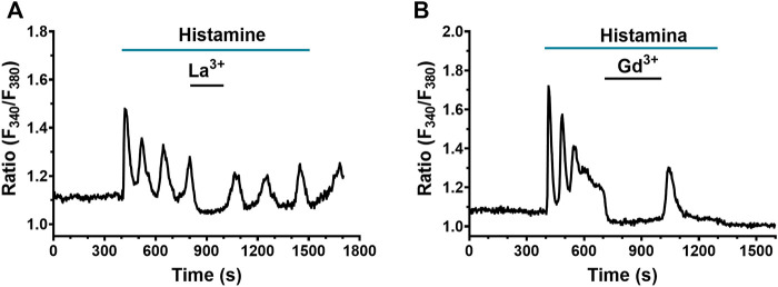 FIGURE 9