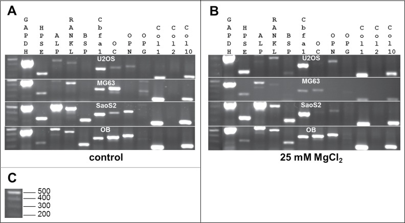 Figure 5.