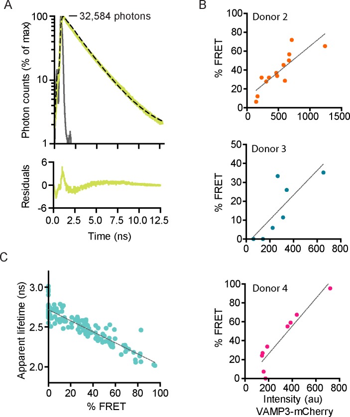 Figure 2—figure supplement 2.