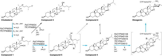 Fig. 4