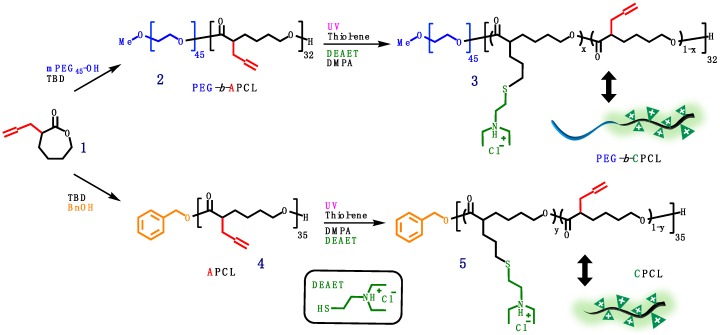 Scheme 2