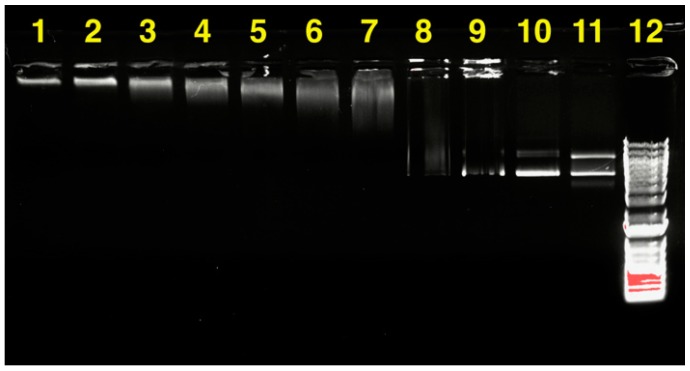 Figure 13