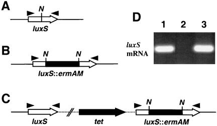 FIG. 1.