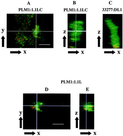 FIG. 4.