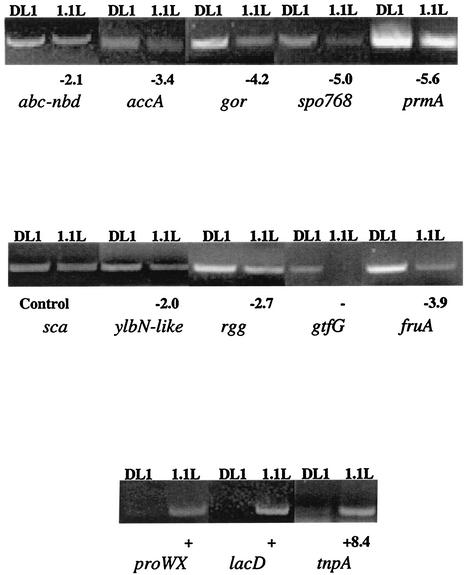 FIG. 5.