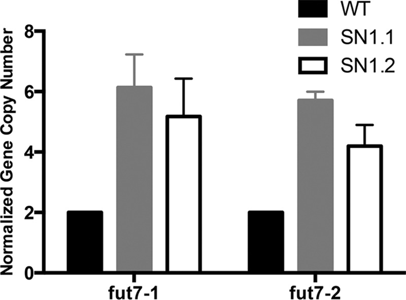 FIGURE 2.