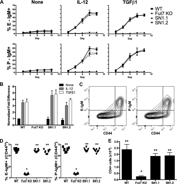 FIGURE 4.