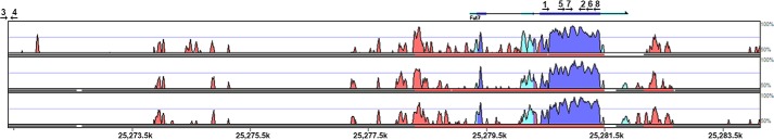 FIGURE 1.