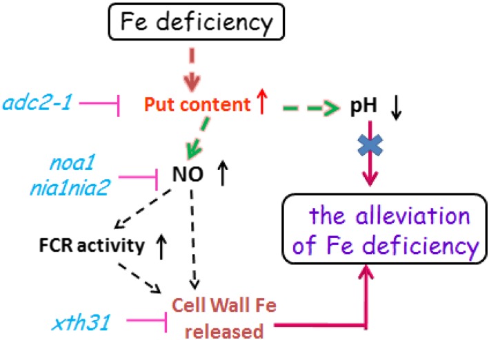 Figure 7.