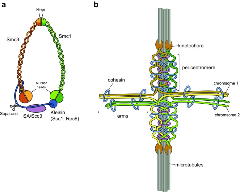 Fig. 3