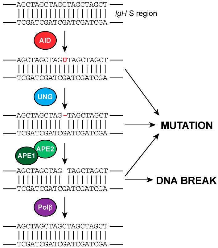 Figure 5