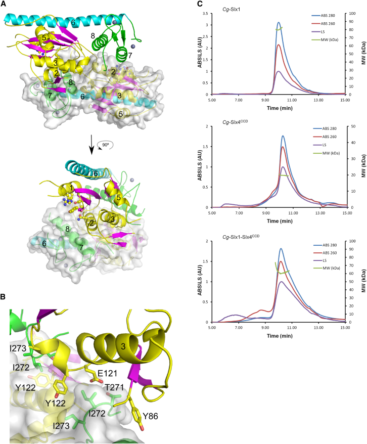 Figure 3