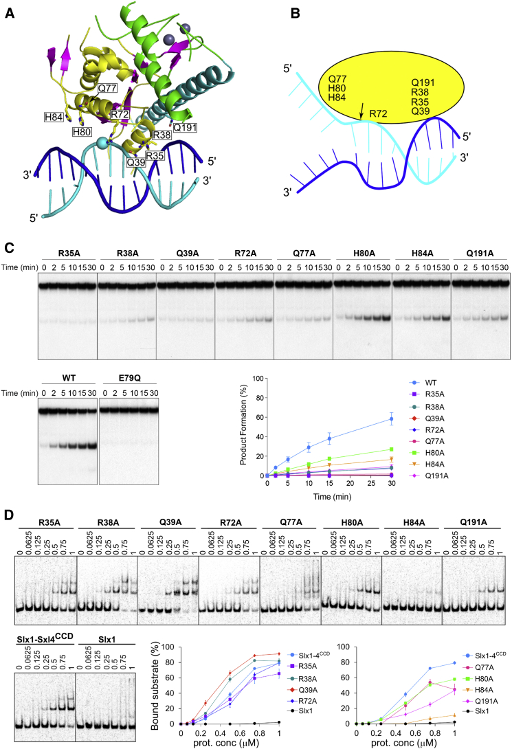 Figure 4