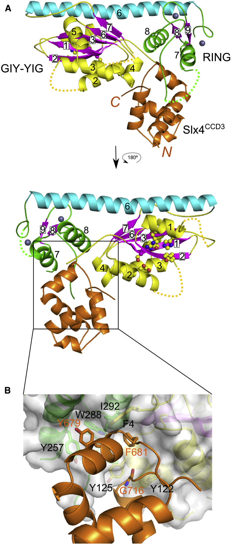 Figure 5